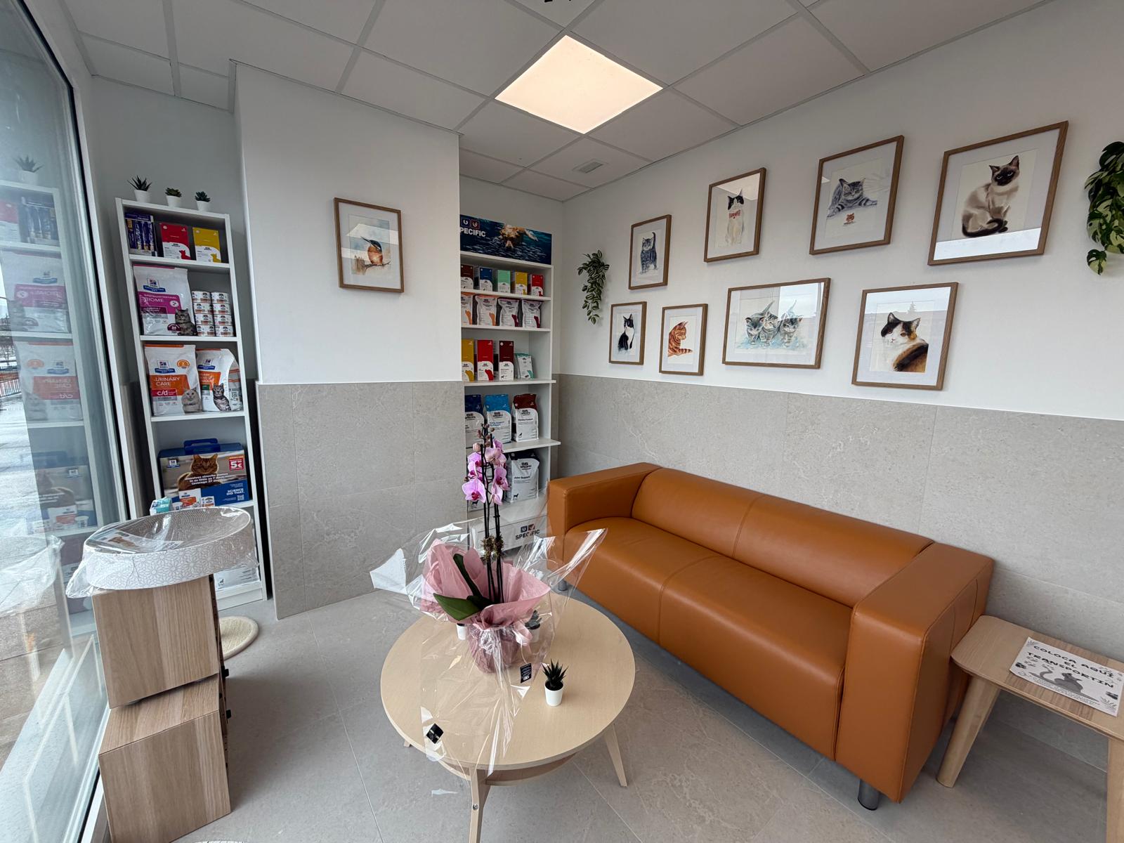 Sala de espera felina de Veterinaria TUMI, con sofá y láminas de gatos